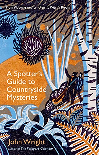 A Spotter’s Guide to Countryside Mysteries: From Piddocks and Lynchets to Witch’s Broom von Profile Books